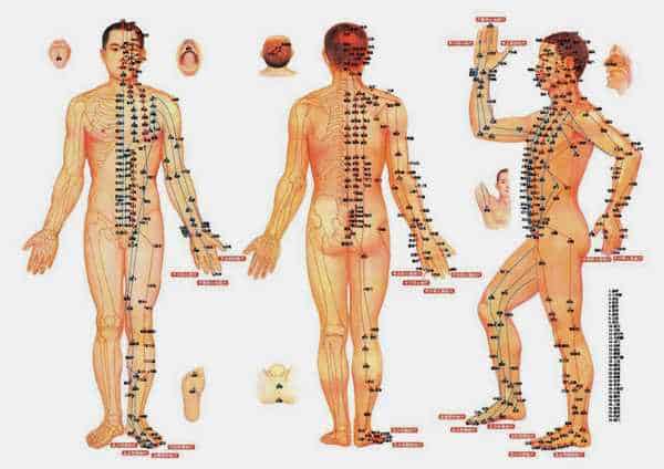 Kinh lạc: Vì sao người xưa biết trong khi giải phẫu tìm không thấy?