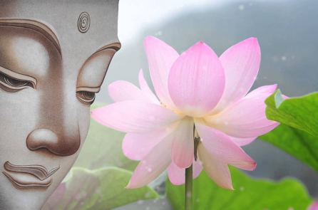 Lòng tốt là một vòng tuần hoàn, gieo mầm nhân quả mai sau