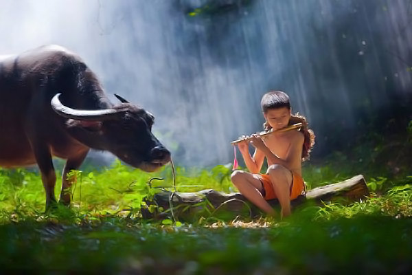 Con người sở dĩ không hạnh phúc là bởi vì toan tính quá nhiều