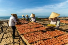 Sau tính lại, GDP tăng thêm 25,4%/năm