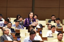 ĐBQH: ‘Người dân đốt cỏ gây cháy bị phạt tù, cán bộ để cháy có ai bị mất chức?’