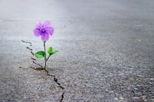 5 cách đơn giản để tìm thấy hy vọng trong thử thách